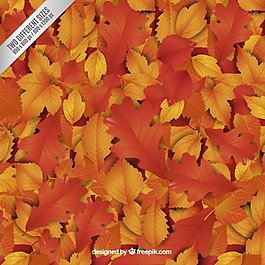 紅葉的背景