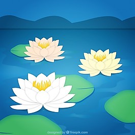 荷花的背景