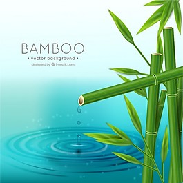 現(xiàn)實的竹背景