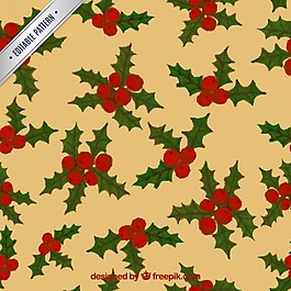 槲寄生的圣誕圖案