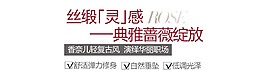 典雅绽放