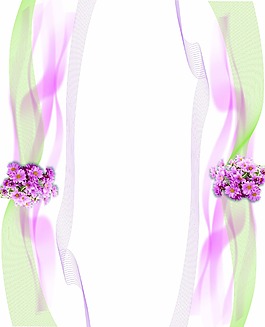 線條花移門