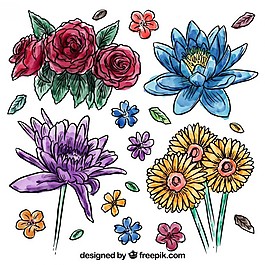 水彩花卉集