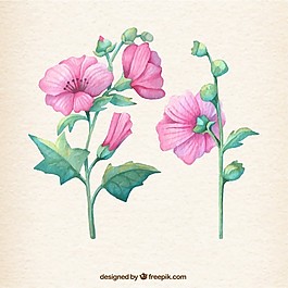 手繪粉色花