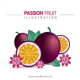 百香果的插图