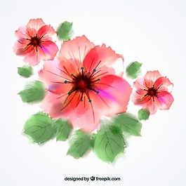 水彩花卉