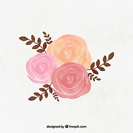 水彩玫瑰花圖