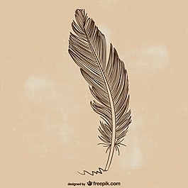 羽毛笔插画