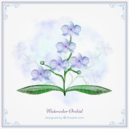 蓝色水彩兰花