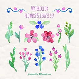 水彩画的花和叶