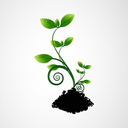 綠色植物