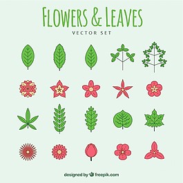 手拉的花和叶集