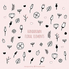手繪花卉元素集合