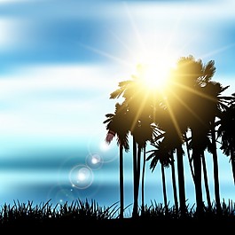 棕櫚樹的夏季景觀