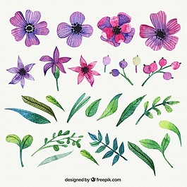 紫色花在手繪風(fēng)格