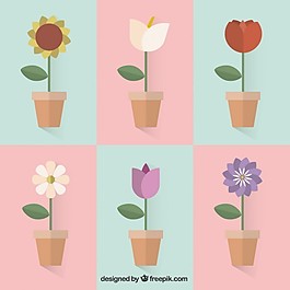 各種花盆