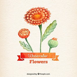 手繪橙花
