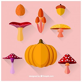 秋天的蔬菜