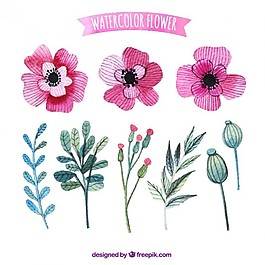 水彩画的粉红色花