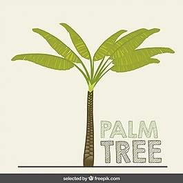 手绘棕榈树