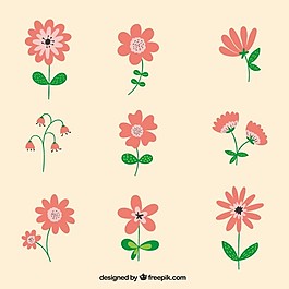 可爱的花收藏