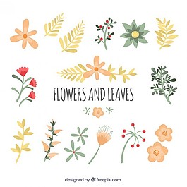可爱的花和树叶