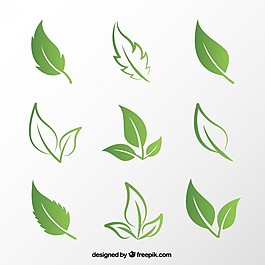 綠色的葉子