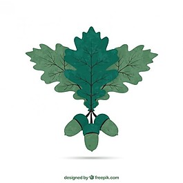 手繪的橡子