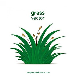 綠色的草
