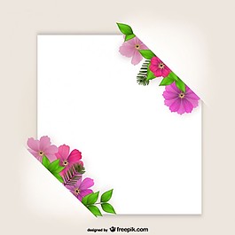 花架在紙上