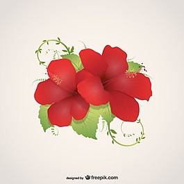 花卉插畫矢量
