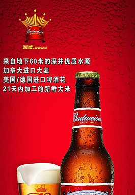 百威 啤酒海报广告设计素材