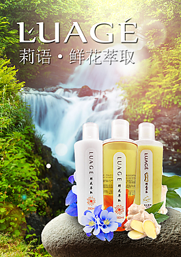 鲜花萃取