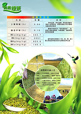 綠色青稞食品茶飲海報