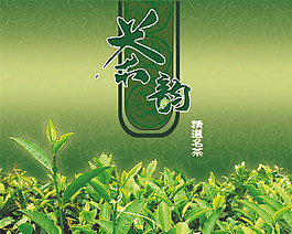 茶包裝盒
