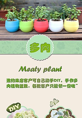 多肉植物