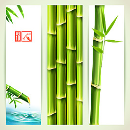 禪意竹子
