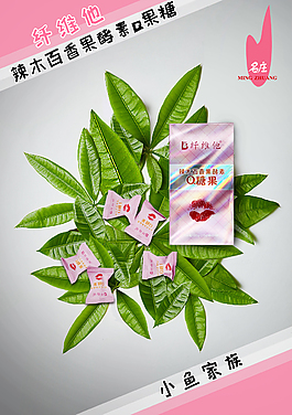 纤维他产品