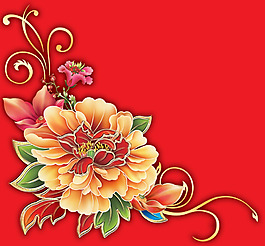 牡丹花02  花