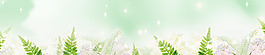 banner背景