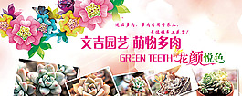 花朵底紋