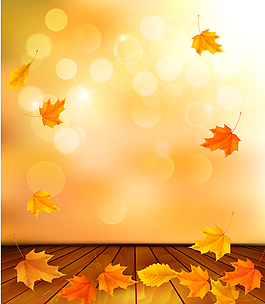 浪漫秋季楓葉矢量圖片