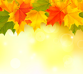 浪漫秋季楓葉矢量圖片