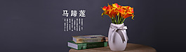 馬蹄蓮海報(bào)