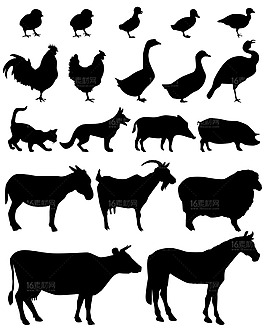 動物剪影插畫設(shè)計(jì)矢量素材