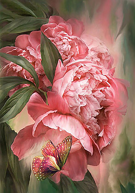 油畫  花卉 插畫