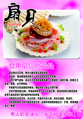 扇貝海報(bào)