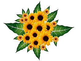 一朵陽光花束