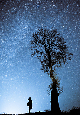 夜景 背景 高清 素材