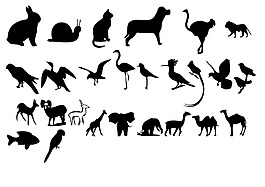 動物